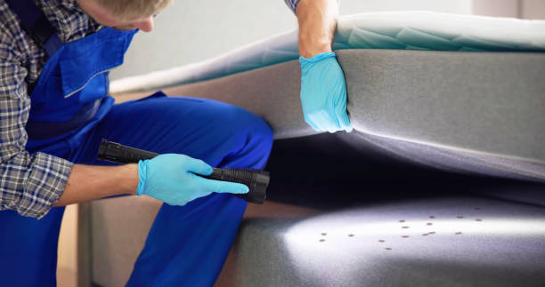 Best Affordable Pest Control Services  in Bowling Green, VA