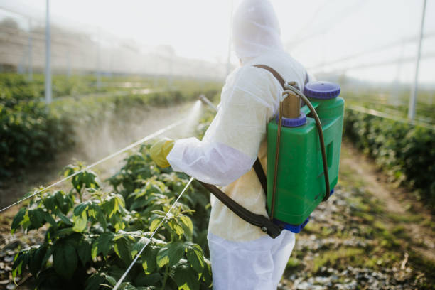 Best Affordable Pest Control Services  in Bowling Green, VA